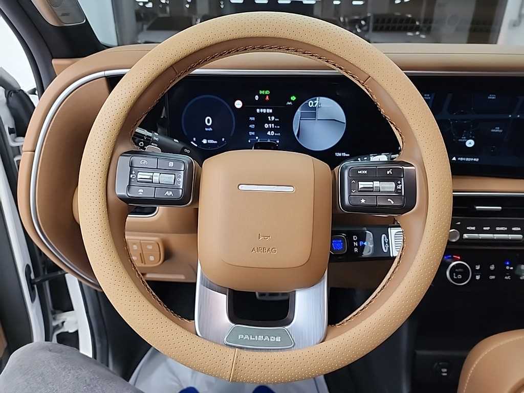 HYUNDAI Palisade - Vista 9
