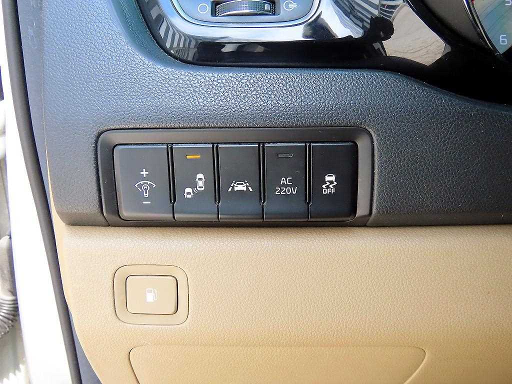KIA Carnival - Vista 4