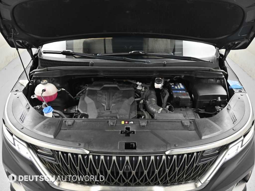 KIA Carnival - Vista 6