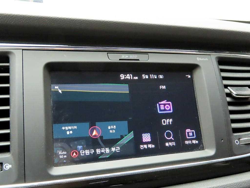KIA Carnival - Vista 8