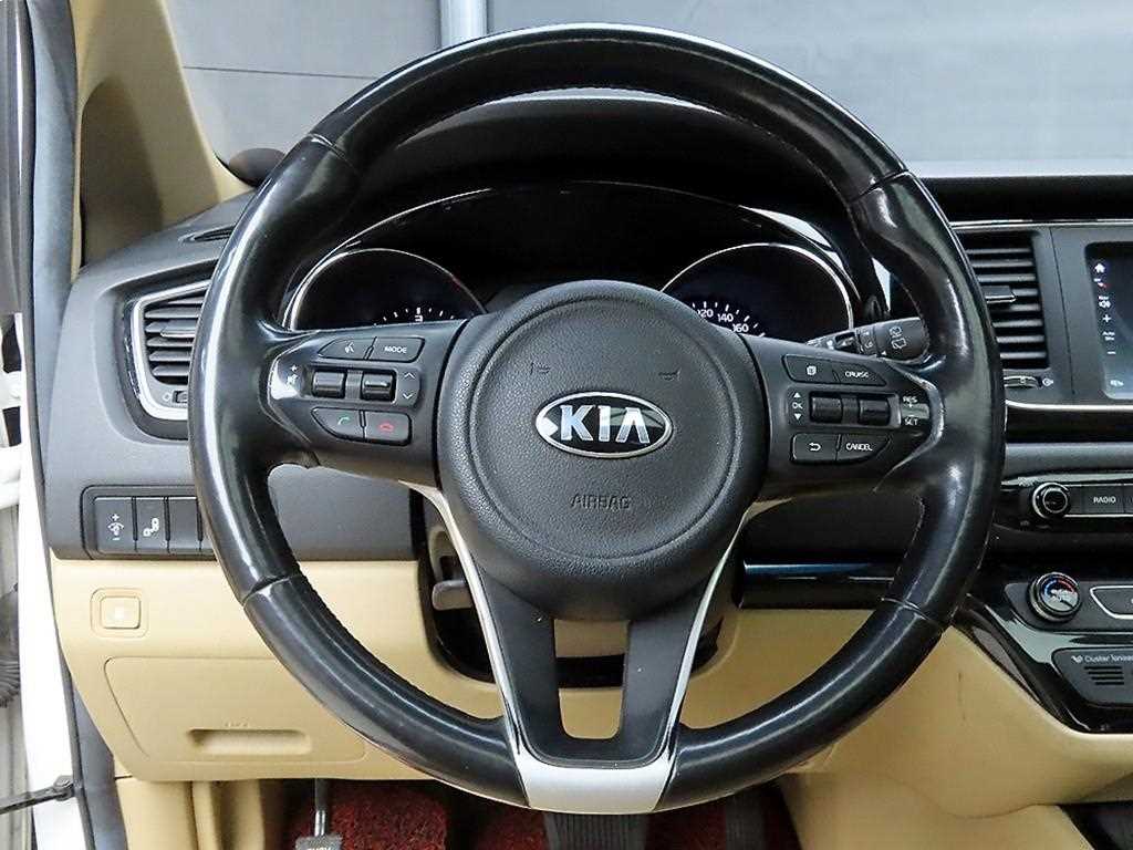 KIA Carnival - Vista 9