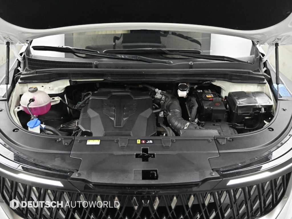 KIA Carnival - Vista 6