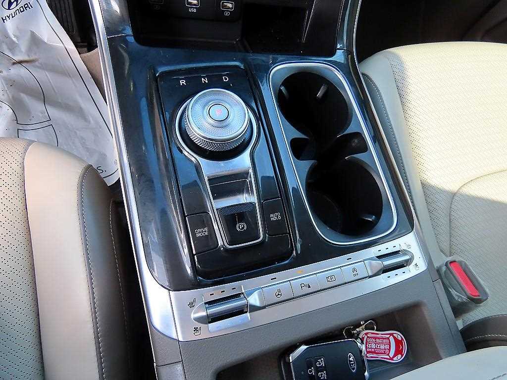 KIA Carnival - Vista 11