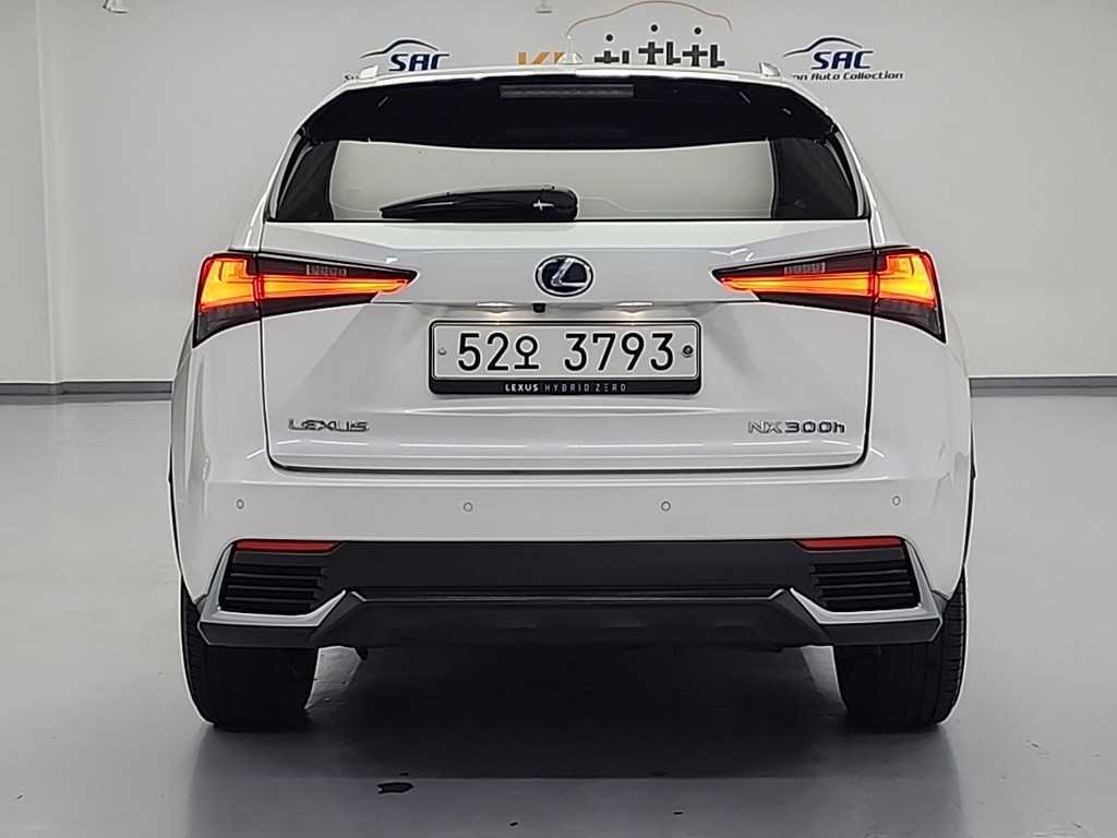 Lexus NX - Vista 3