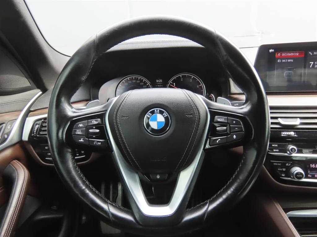 BMW 5 Series - Vista 10