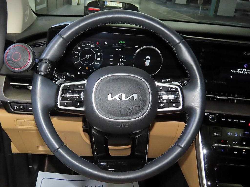 KIA Carnival - Vista 8