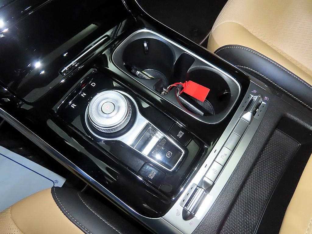 KIA Carnival - Vista 12