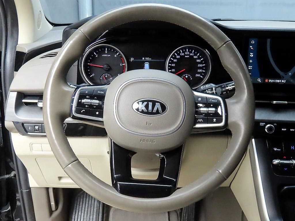 KIA Carnival - Vista 9