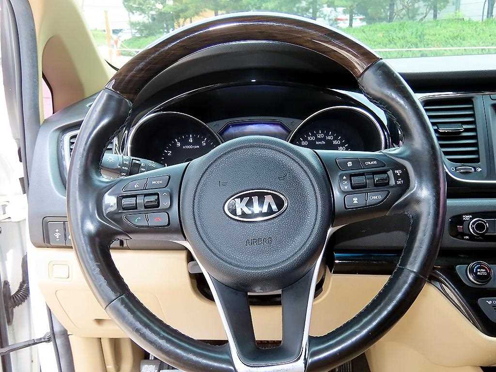 KIA Carnival - Vista 8