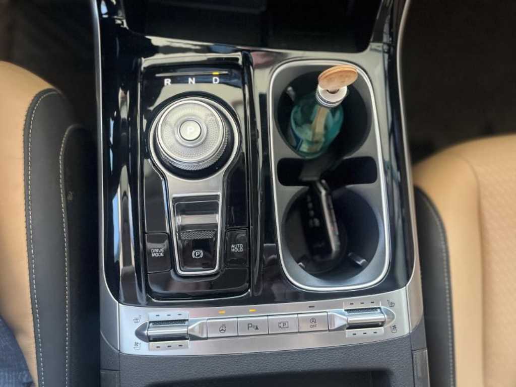 KIA Carnival - Vista 8