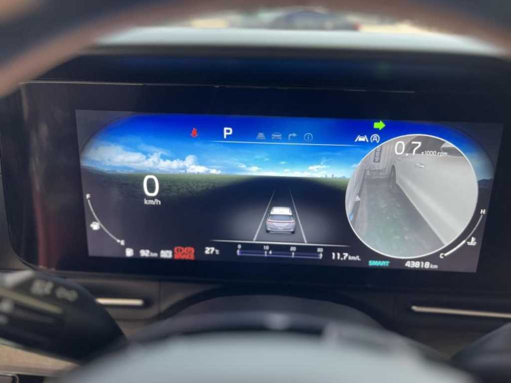KIA Carnival - Vista 12