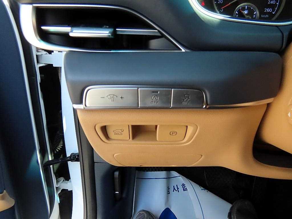 Genesis GV80 - Vista 12