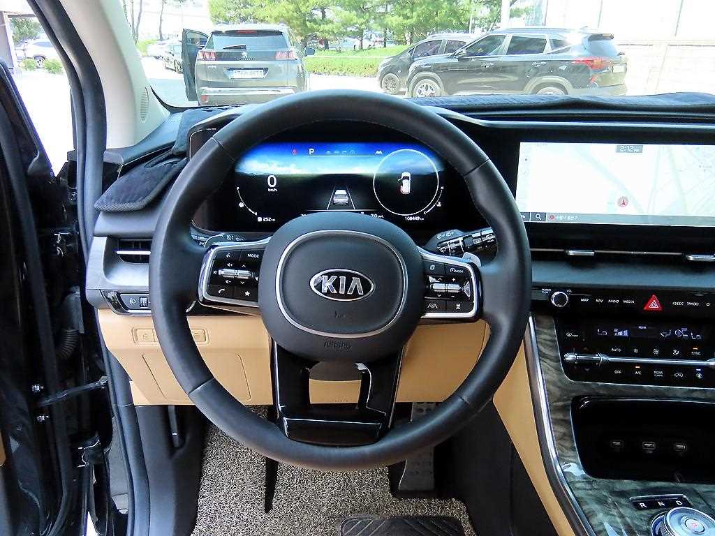 KIA Carnival - Vista 9