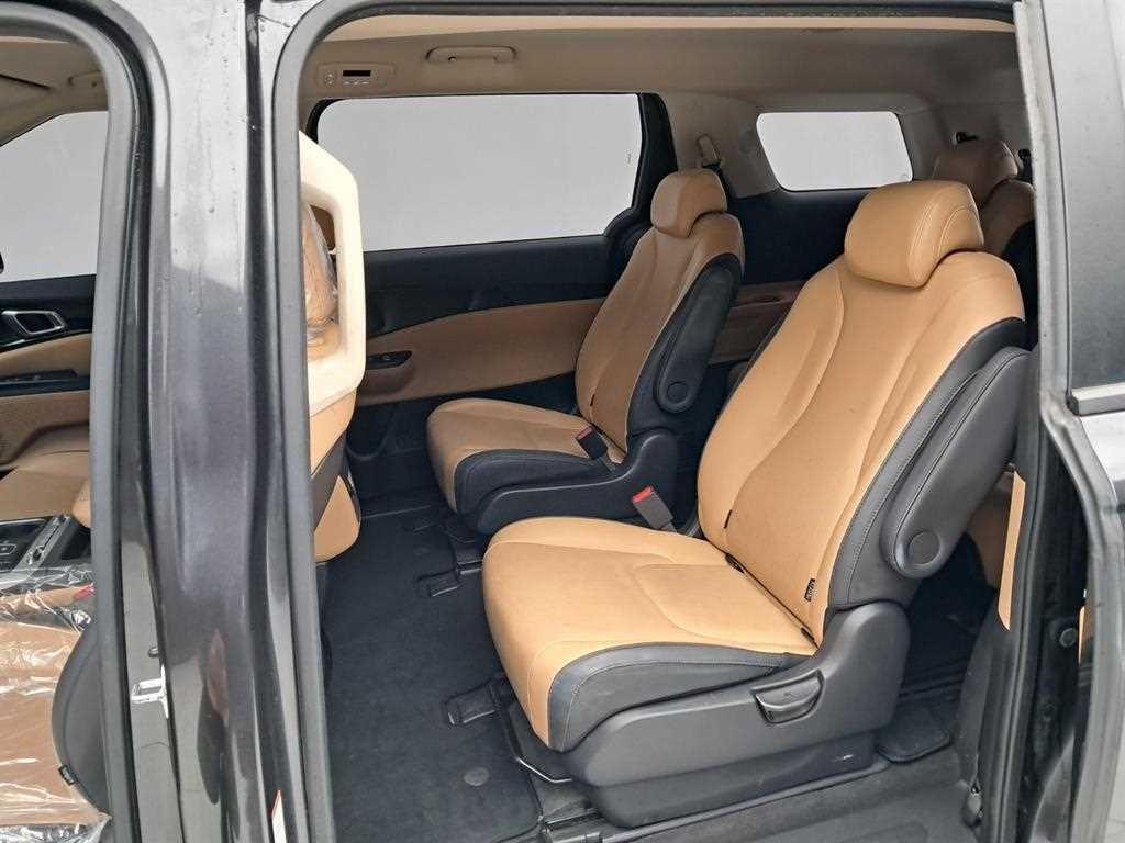KIA Carnival - Vista 12