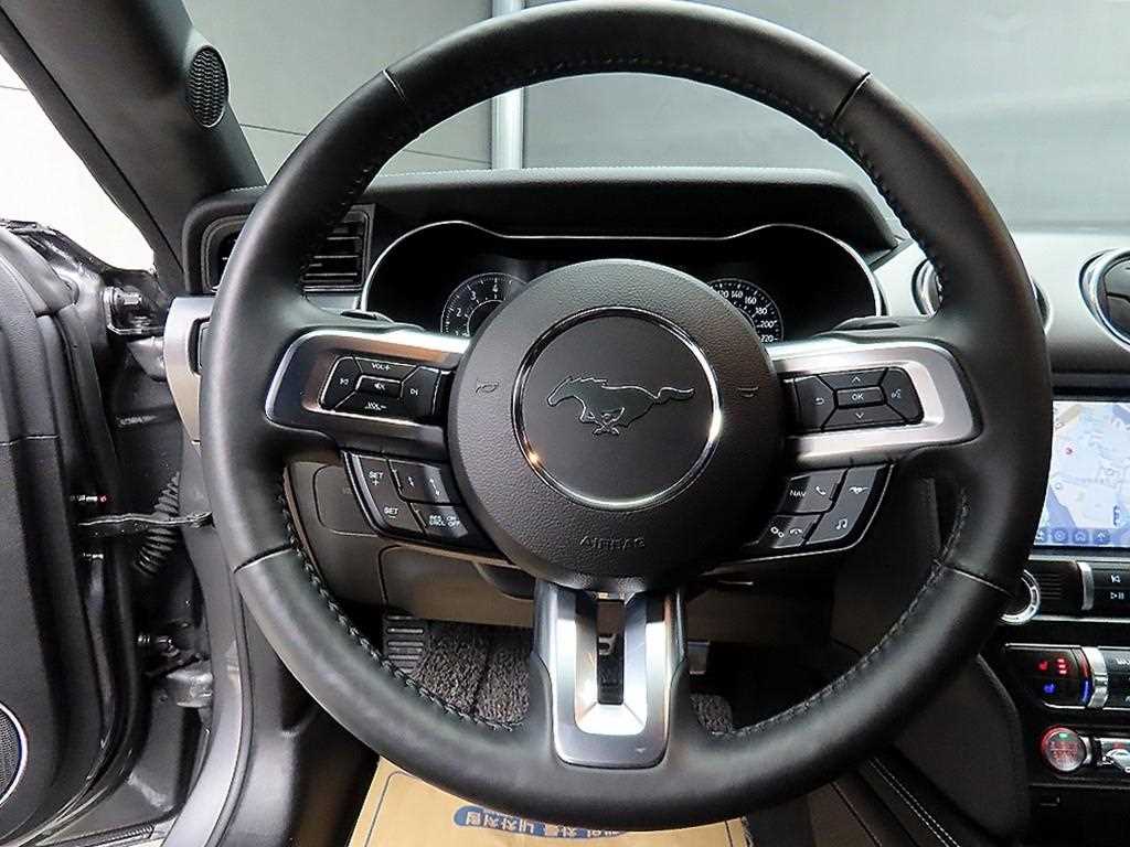 Ford Mustang - Vista 9