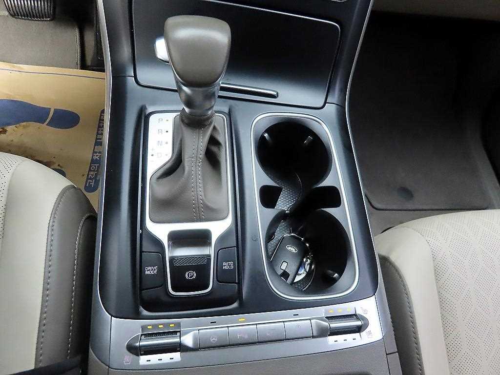 KIA Carnival - Vista 10