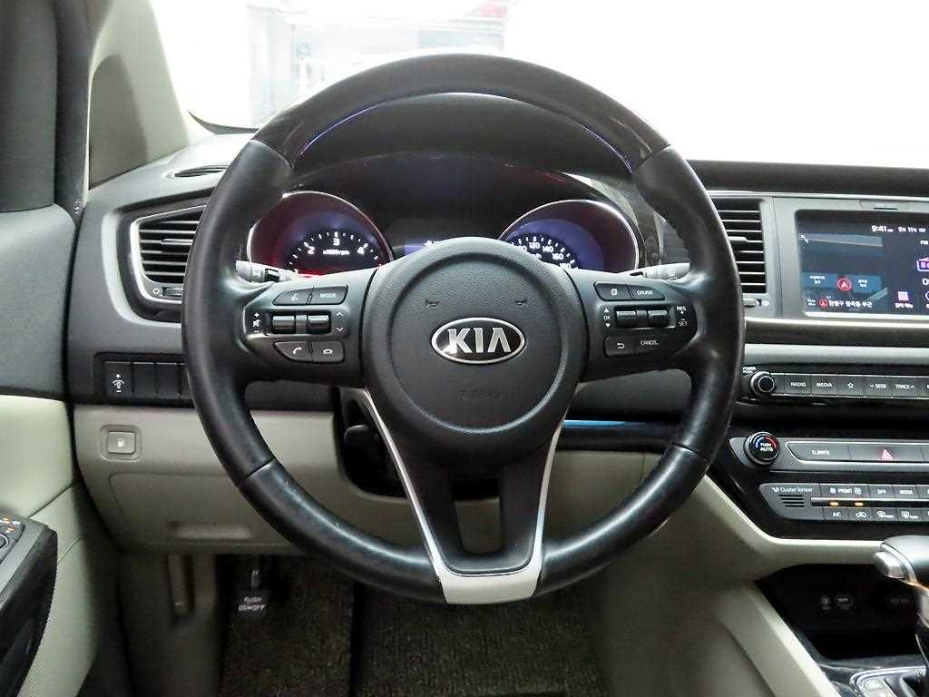 KIA Carnival - Vista 7