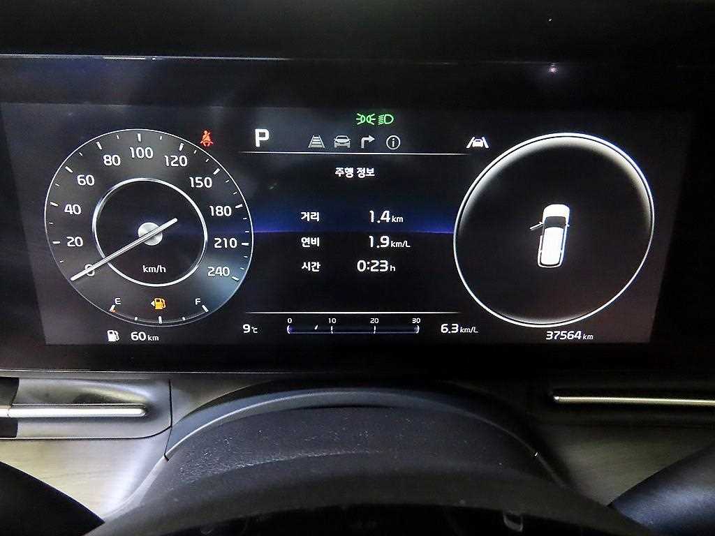 KIA Carnival - Vista 9
