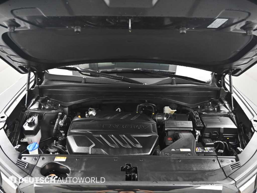 HYUNDAI Palisade - Vista 6