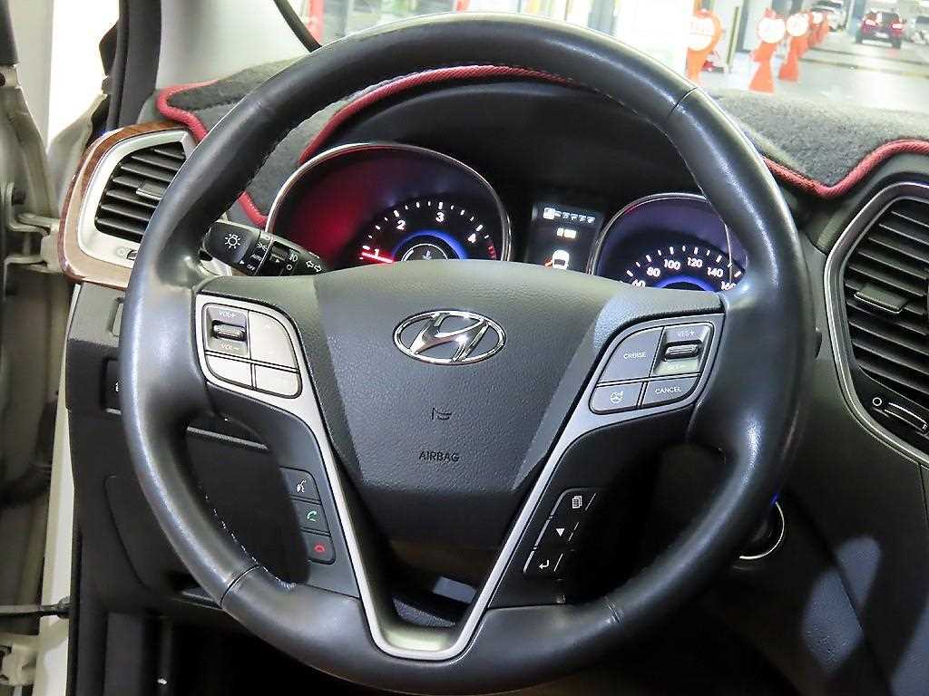 HYUNDAI Maxcruz - Vista 8