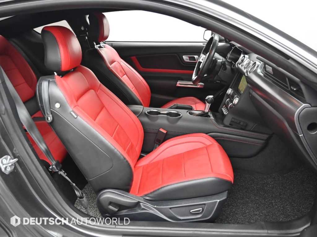 Ford Mustang - Vista 10