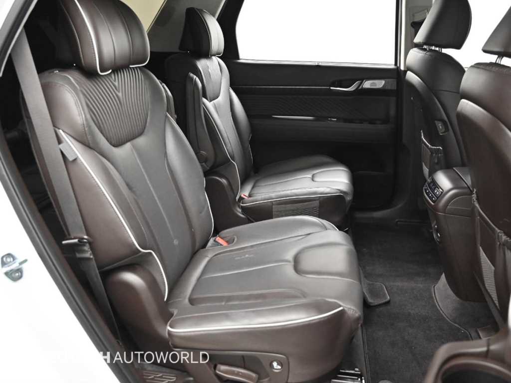 HYUNDAI Palisade - Vista 12