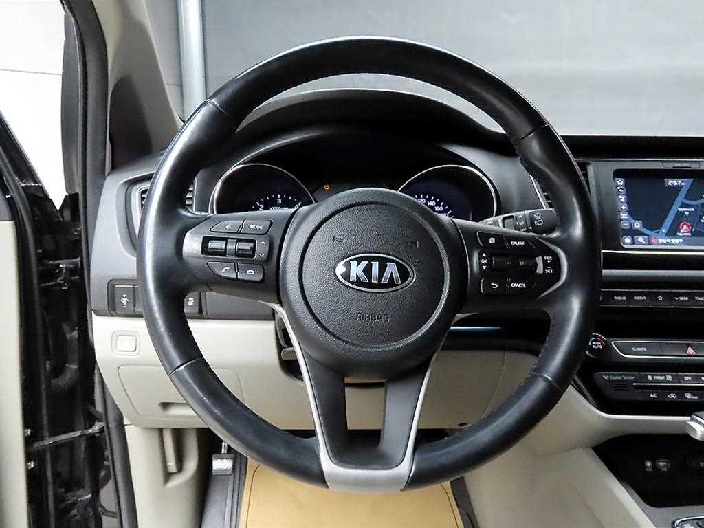 KIA Carnival - Vista 9