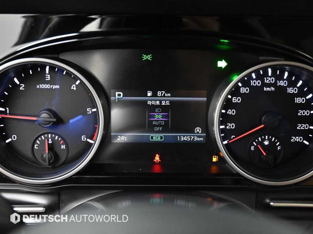 KIA Carnival - Vista 8