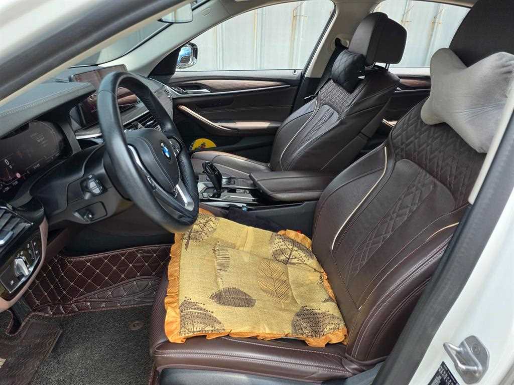 BMW 5 Series - Vista 3