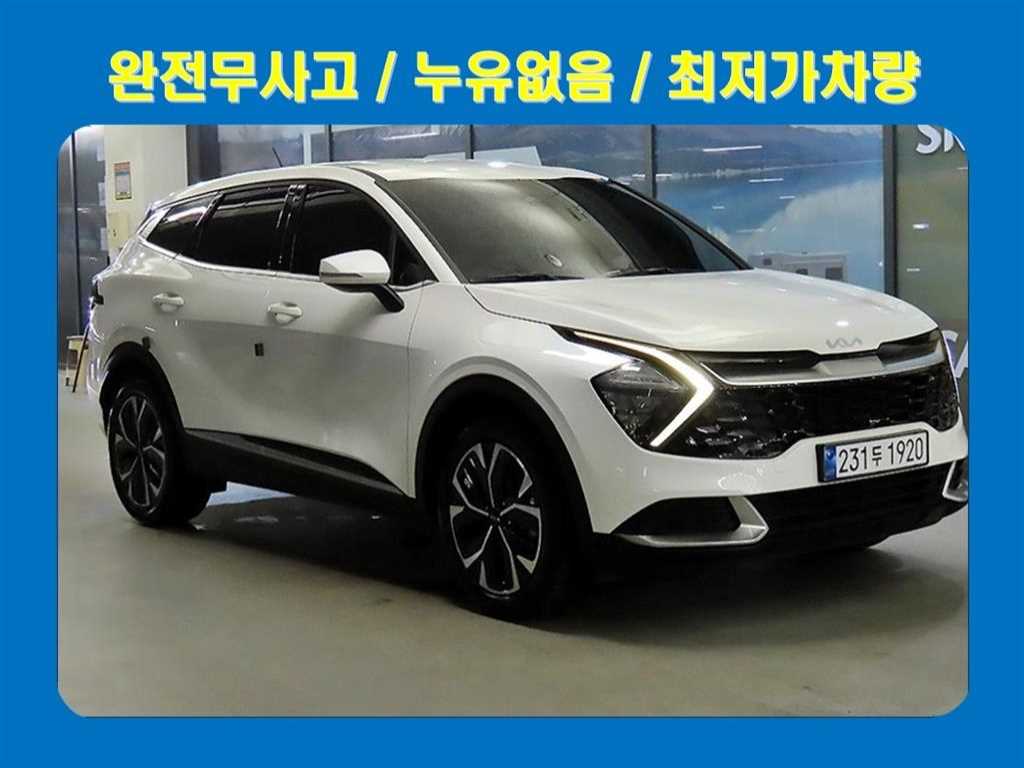 KIA Sportage 2024 Blanco - Importación desde Corea - HF Imports Iquique - Foto 1