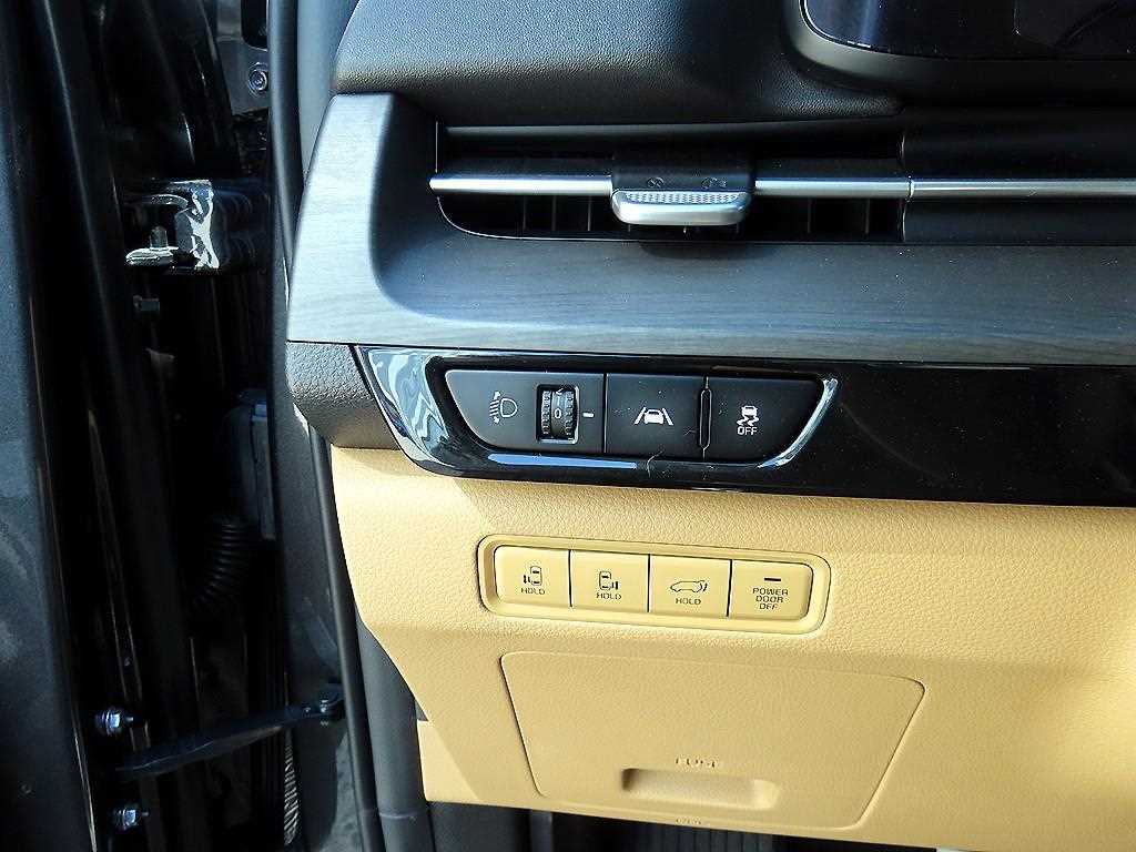 KIA Carnival - Vista 11