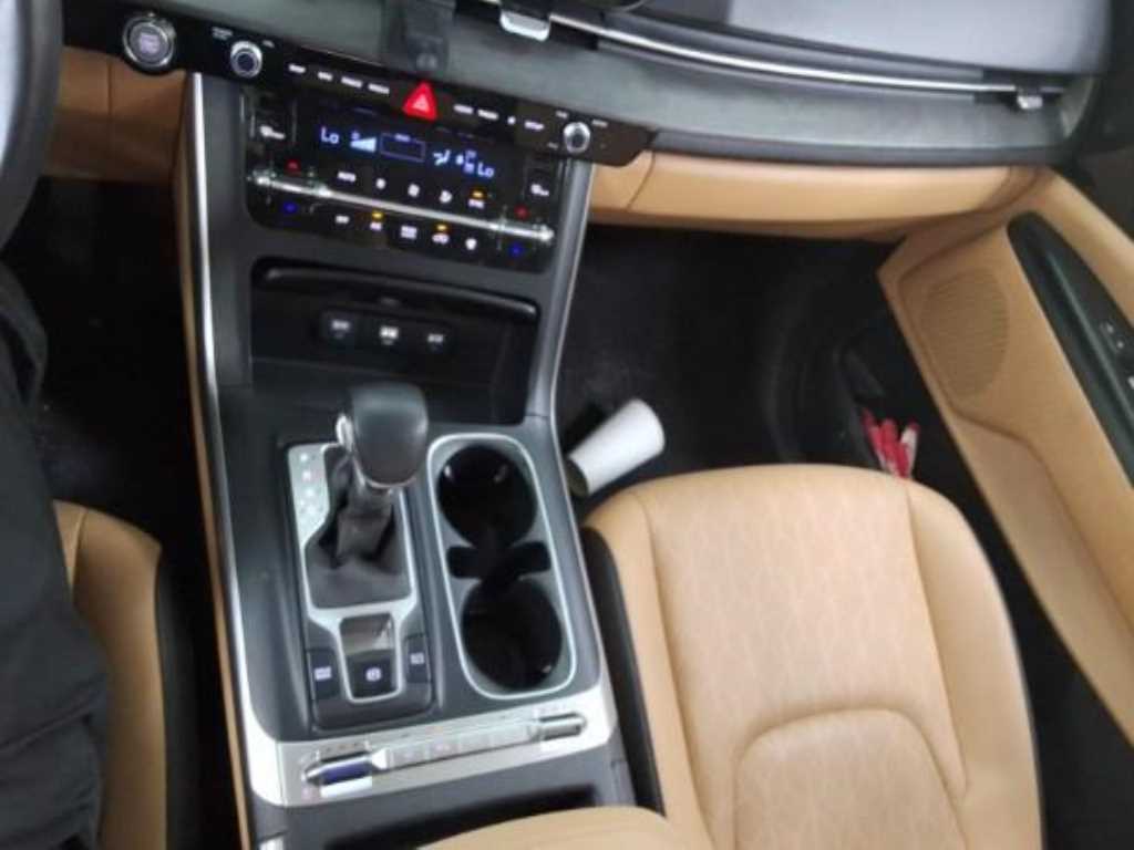 KIA Carnival - Vista 9