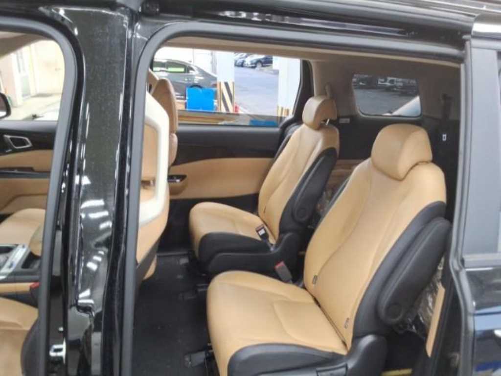 KIA Carnival - Vista 10