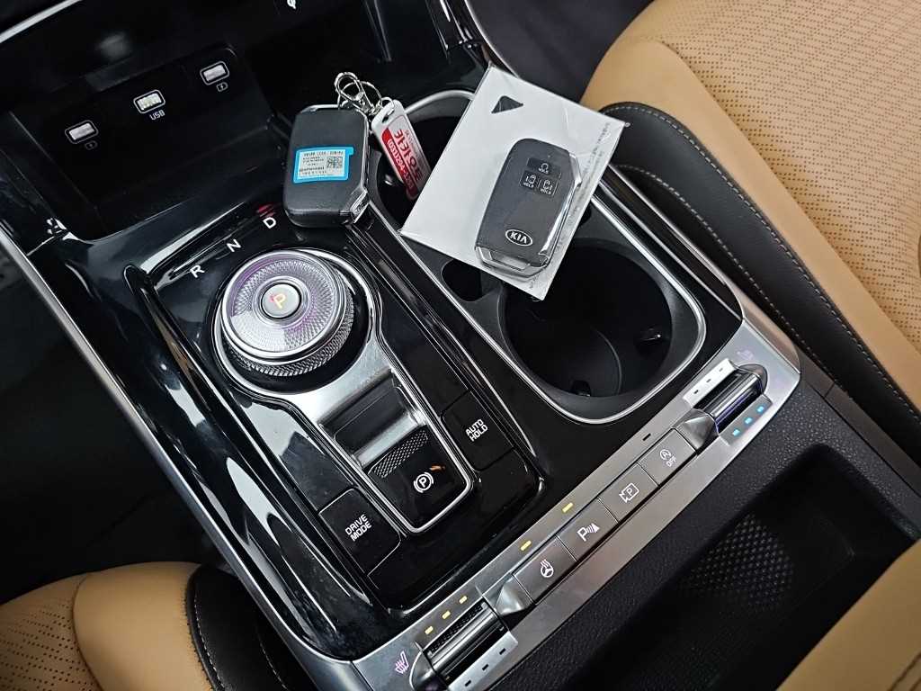 KIA Carnival - Vista 8