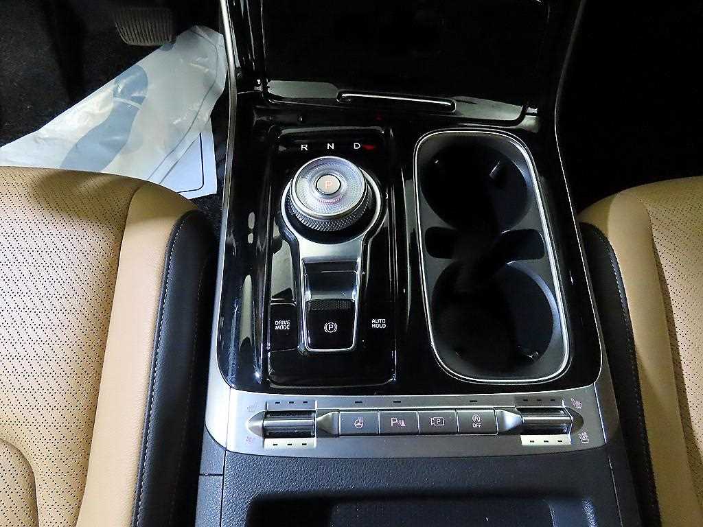 KIA Carnival - Vista 12