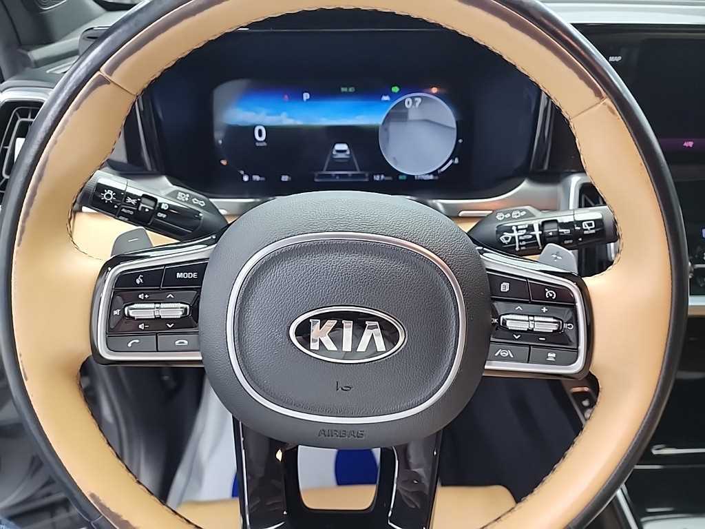 KIA Sorento - Vista 9