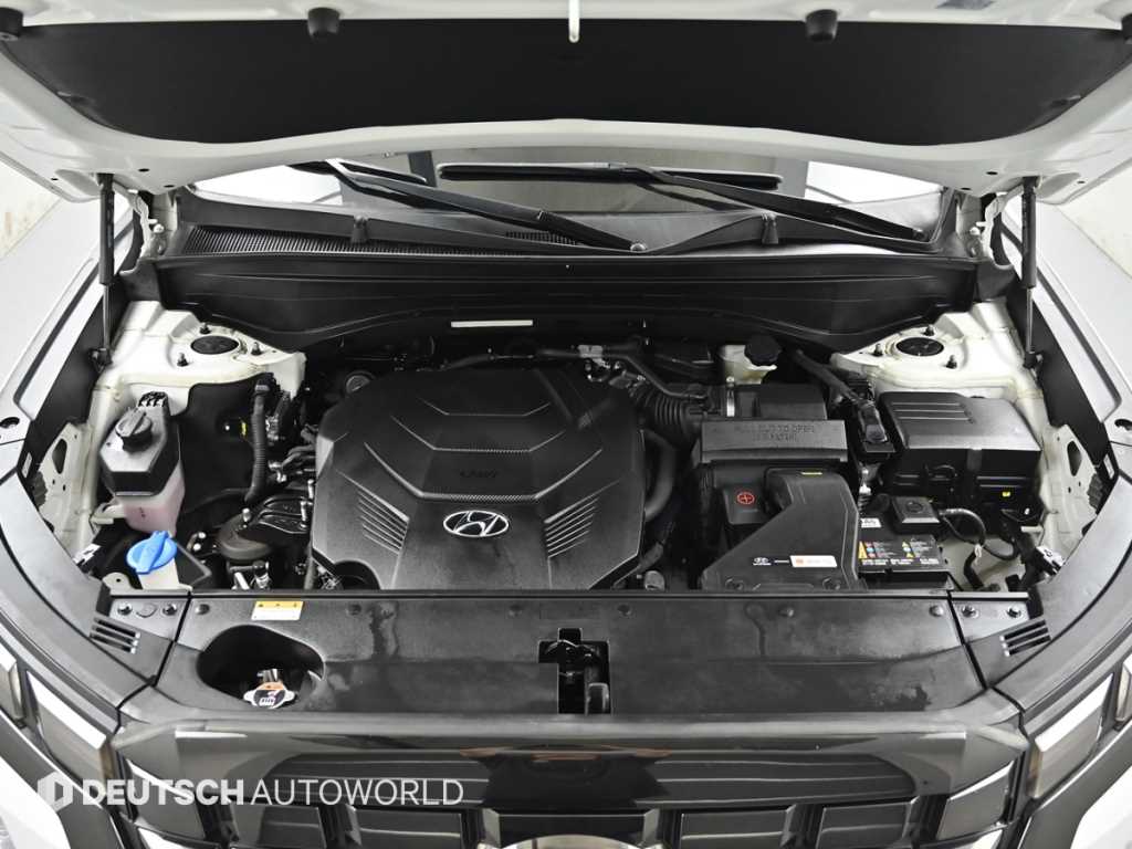 HYUNDAI Palisade - Vista 6