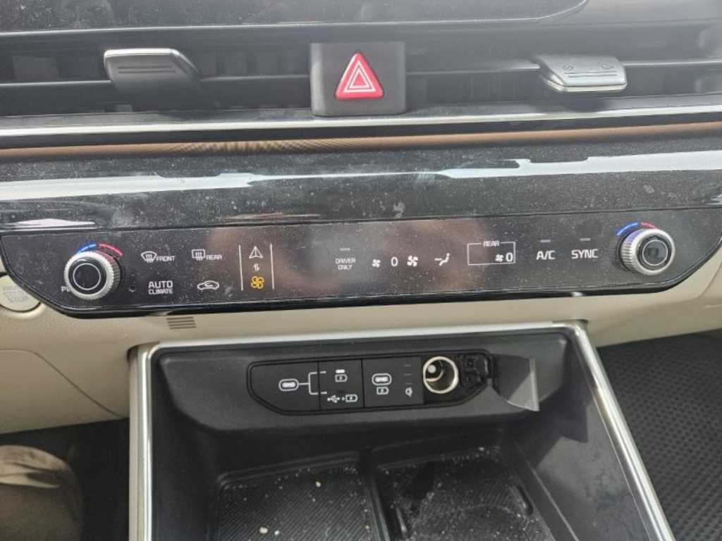 KIA Carnival - Vista 12