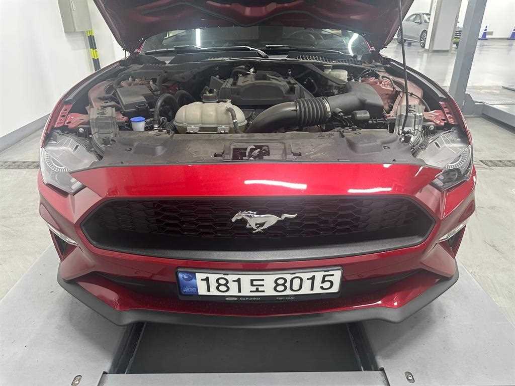 Ford Mustang - Vista 5