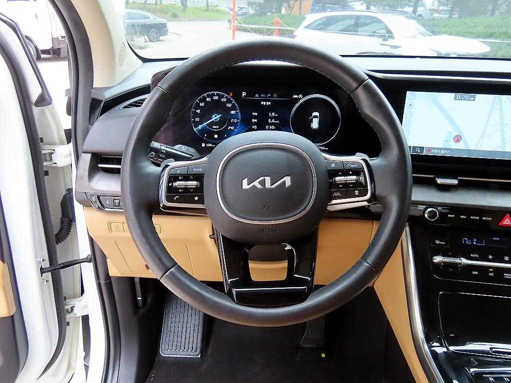 KIA Carnival - Vista 9