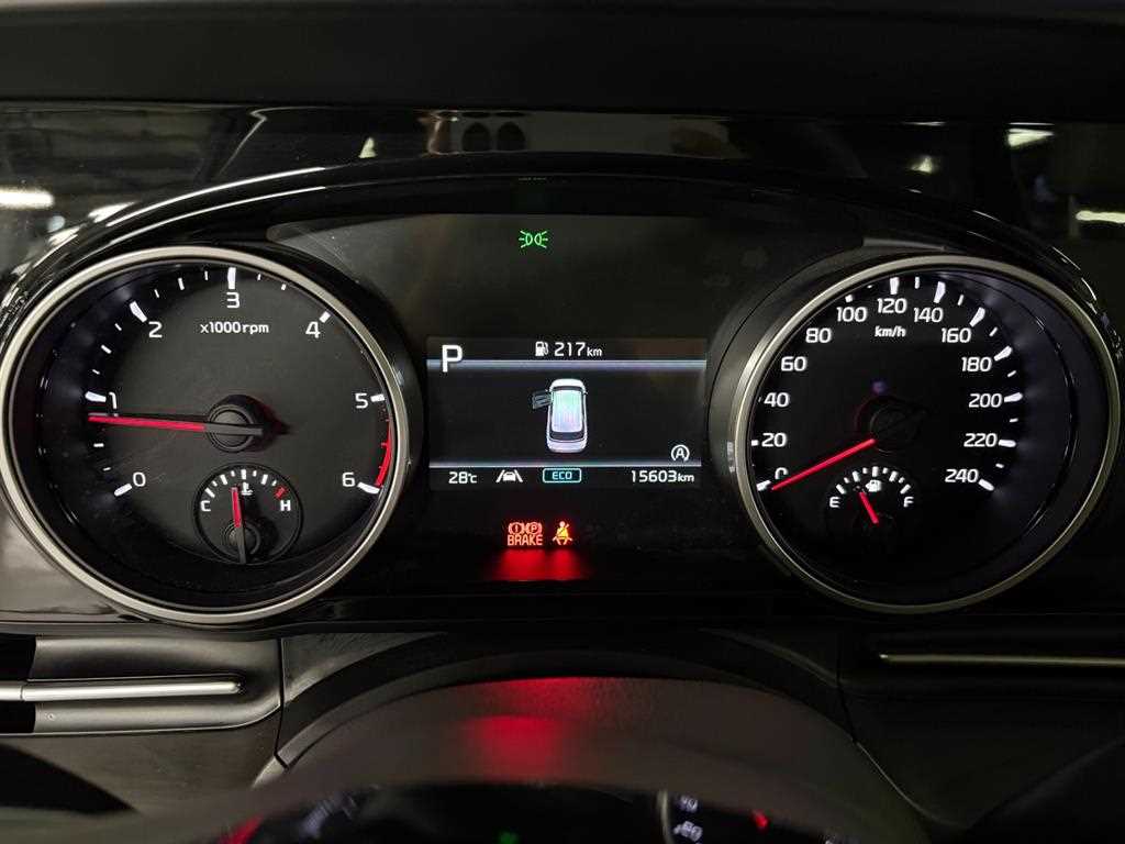 KIA Carnival - Vista 7