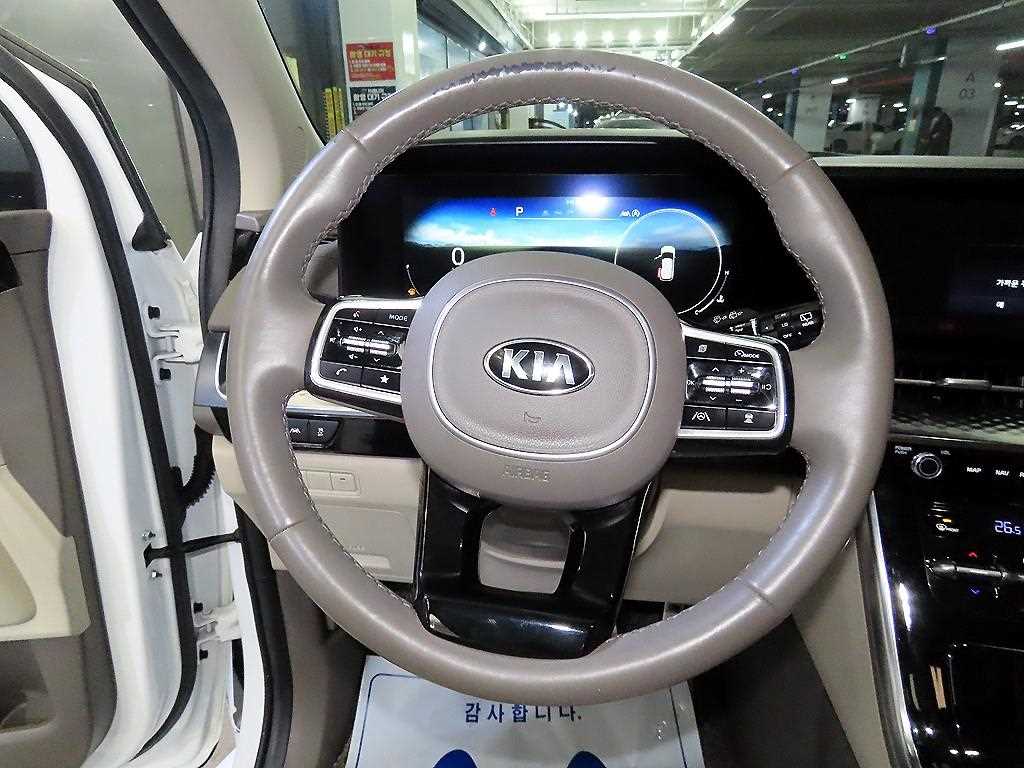 KIA Carnival - Vista 8