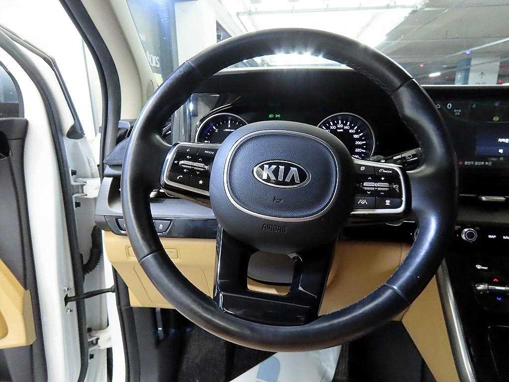 KIA Carnival - Vista 8