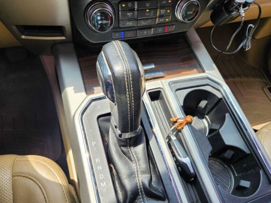 Ford F-Series - Vista 2