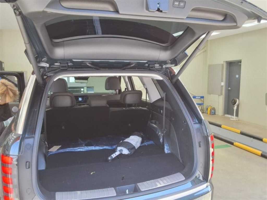 HYUNDAI Palisade - Vista 10