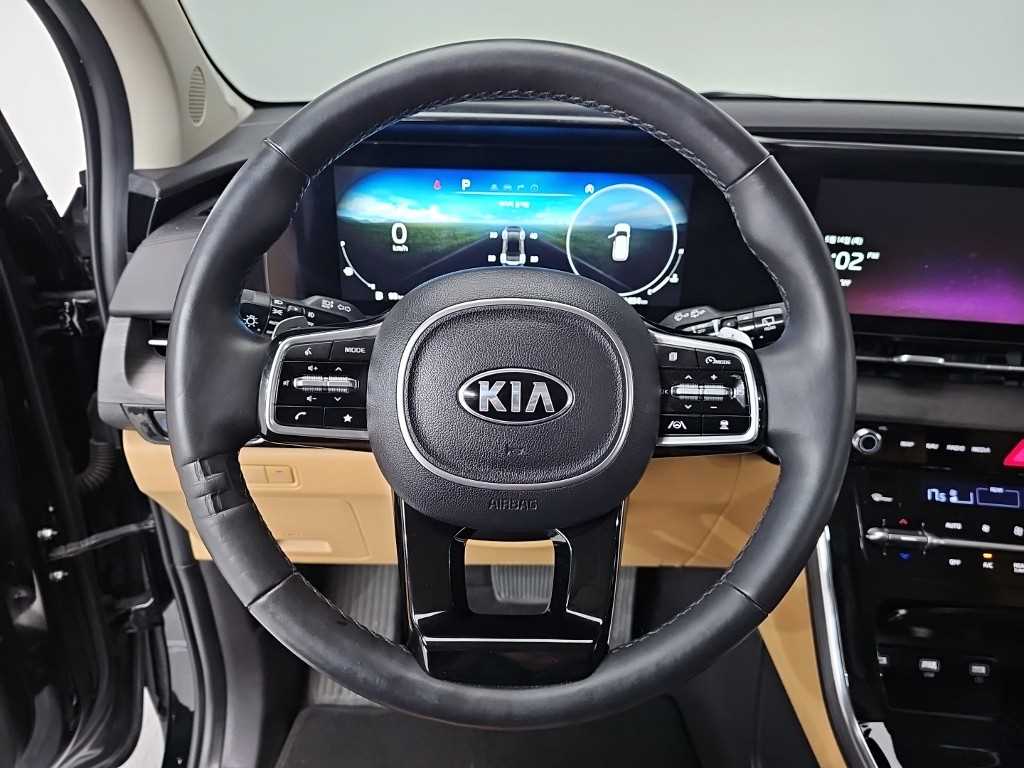 KIA Carnival - Vista 9