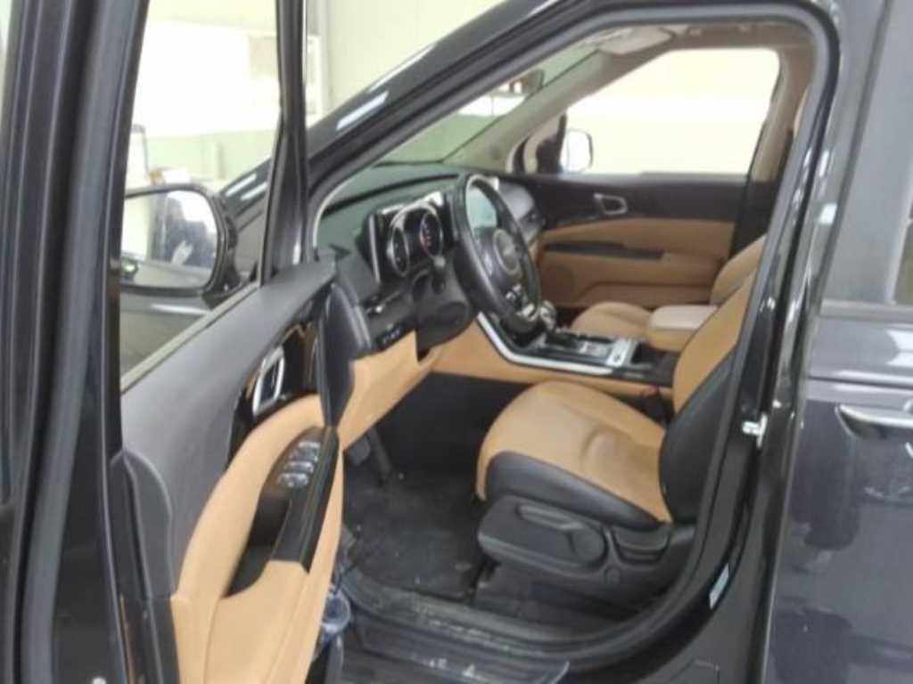 KIA Carnival - Vista 11