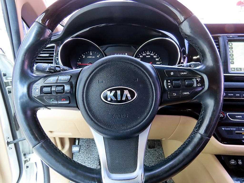 KIA Carnival - Vista 8
