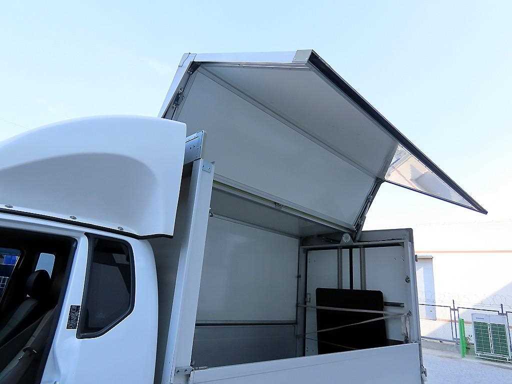 Small Truck Top_Wingbody - Vista 5