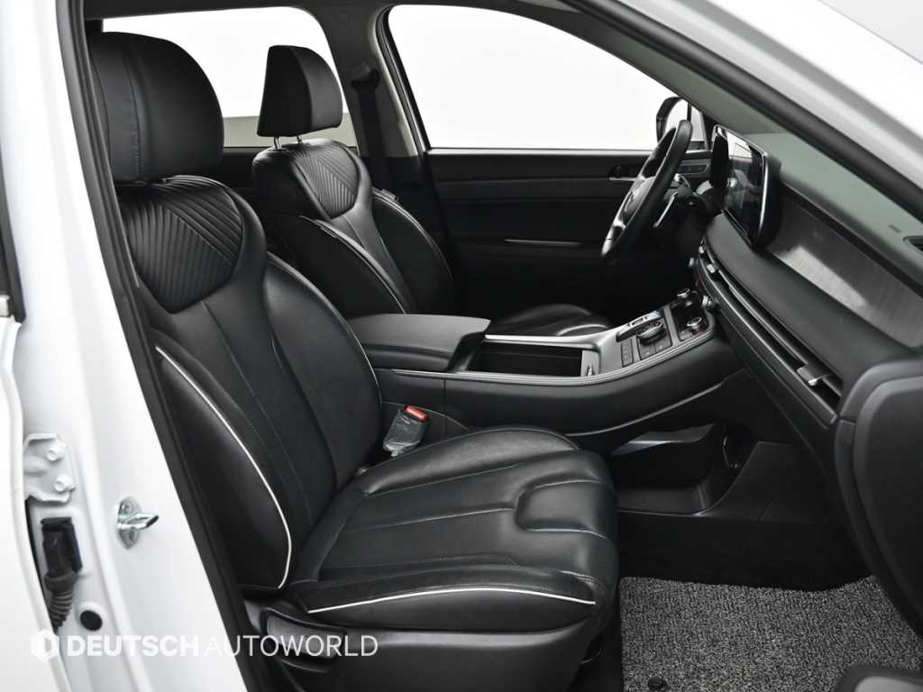 HYUNDAI Palisade - Vista 10